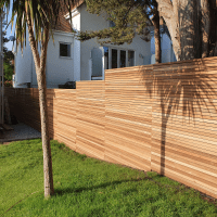 A shadow of a palm tree is cast upon a radiant Cedar slat fence panel in a modern garden.